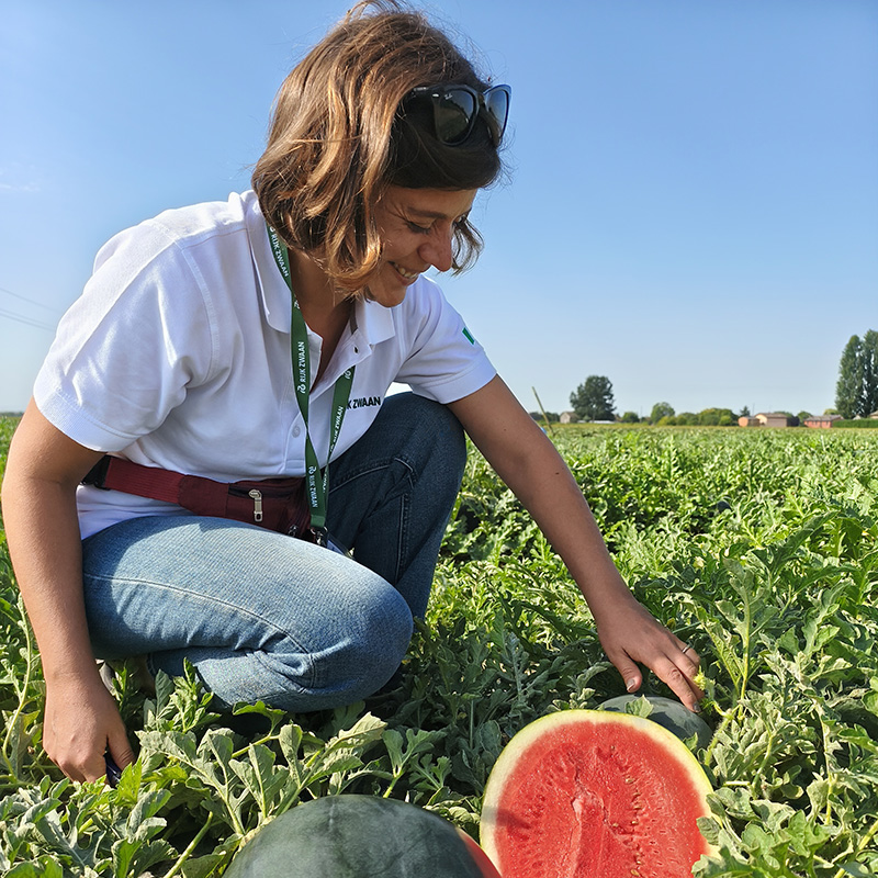 Elisabetta Martella, Crop Specialist Melone e Anguria Rijk Zwaan Italia